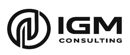 igmconsult.it