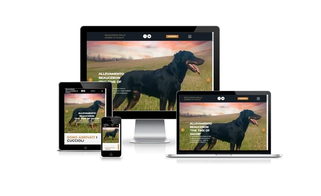 Beauceron delle ombre di fuoco